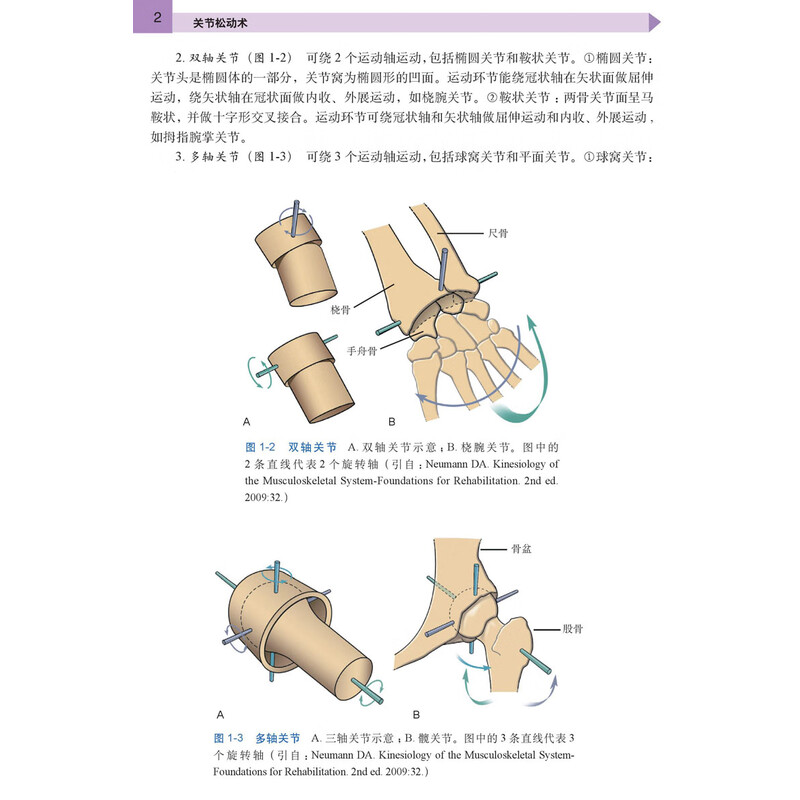 不要被软骨“磨损”说法骗了！科学运动才是终极护膝“动态良药”(图1)