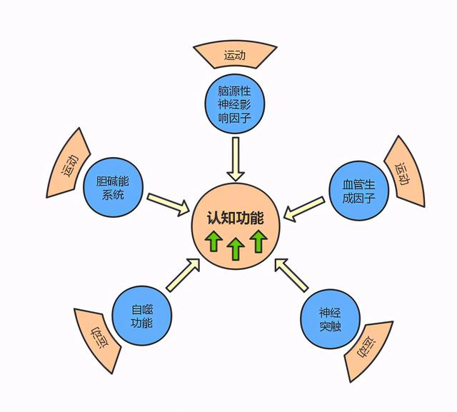 消费为王？减肥药为何能登顶“全球药王”？(图1)